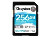  Kingston SDG3/256GB