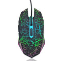  The preferred mouse for the little witch game