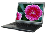 A61 T233ALMW(800570)