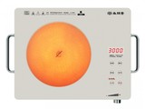 ST3006
