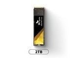 ʿGold P312TB