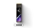 ʿPlatinum P41500GB