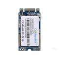 Goldendisk GWON-256TS 2242256GB