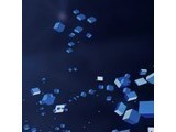 �����·������������� WebGate Component