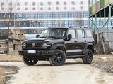 ̹��300 2025�� 2.0T ��ս��