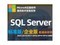 ΢SQL Server 2022(׼/û)
